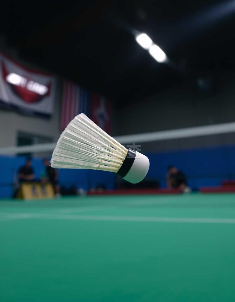 无论是替补 无论是替补